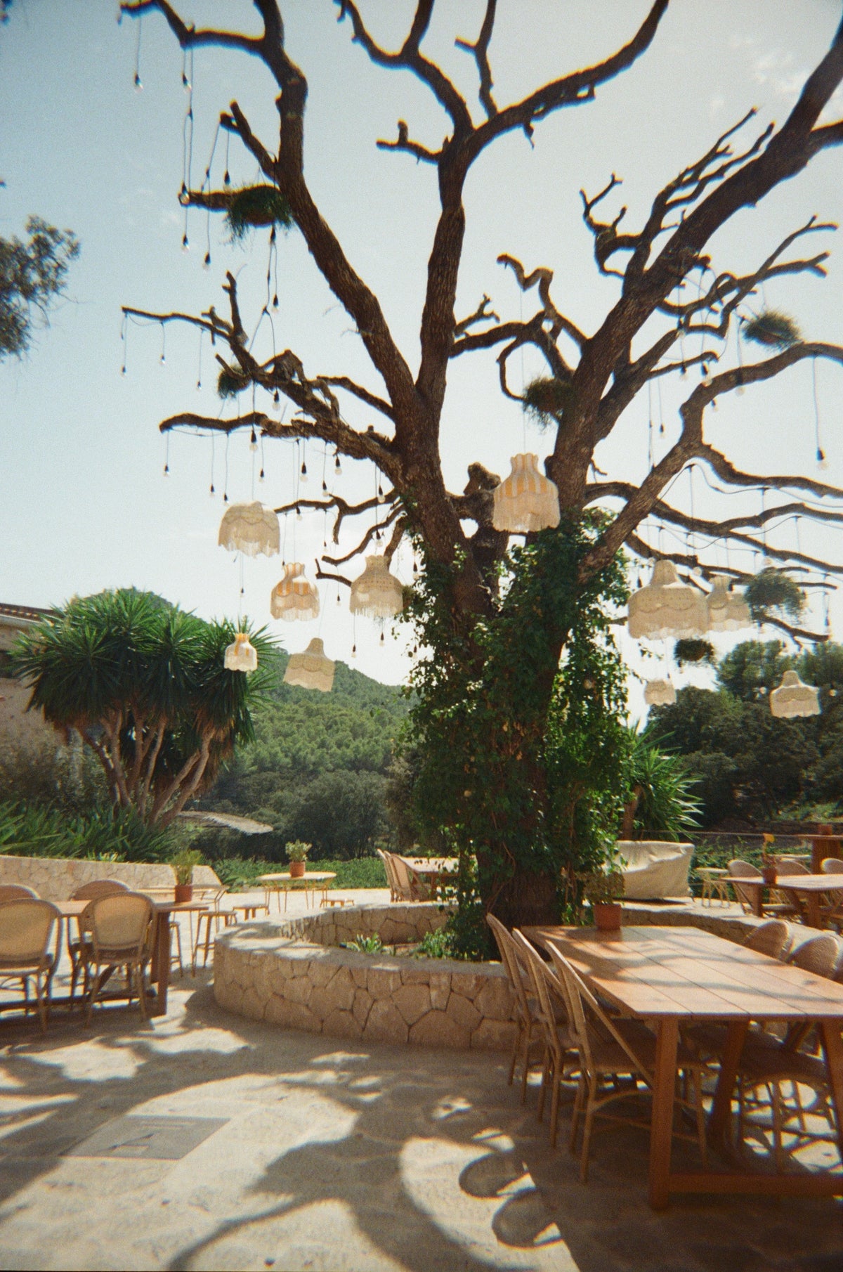 BUNDLE RO-CAM + FILM